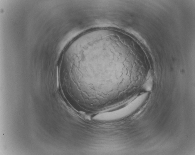 X0000071381175200607142103