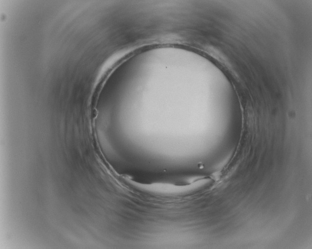 X0000071381176200607142103