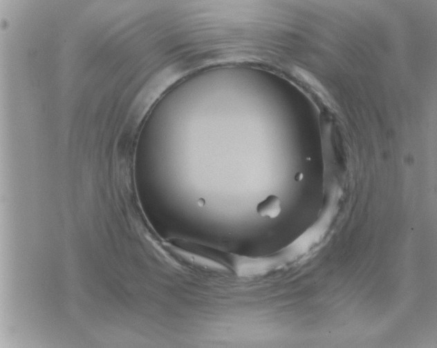 X0000071381177200607142103