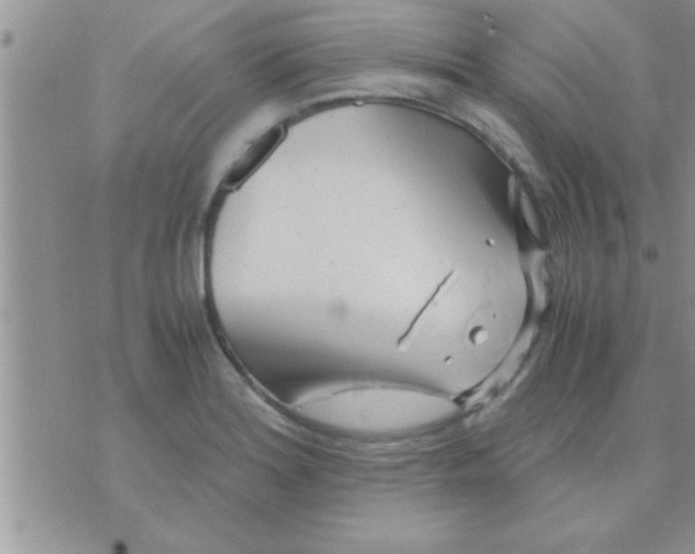 X0000071381180200607142103