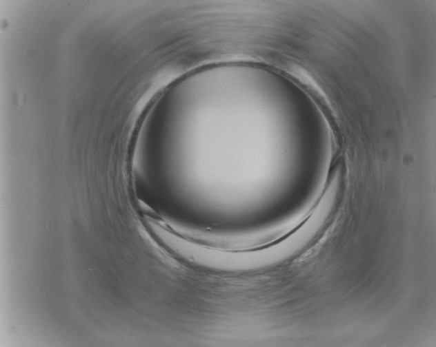 X0000071381181200607142103