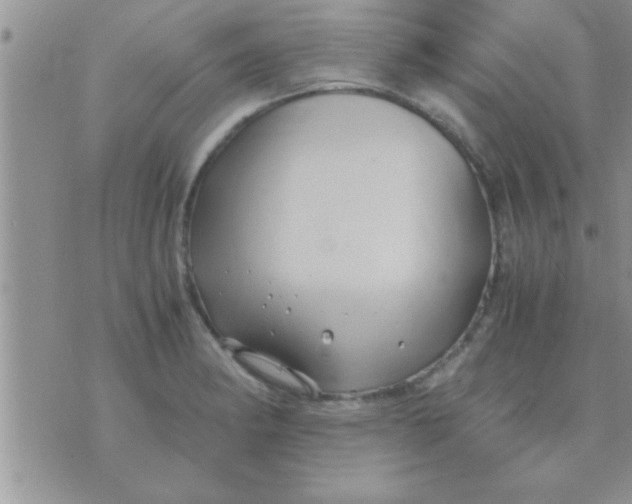 X0000071381182200607142103