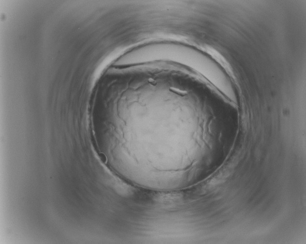 X0000071381183200607142103