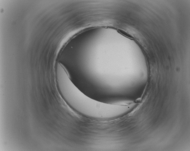 X0000071381184200607142103