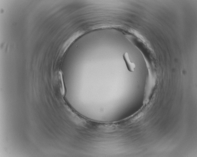 X0000071381185200607142103