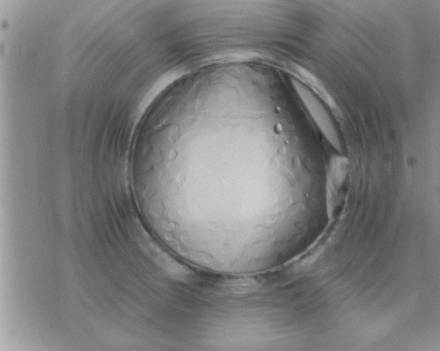 X0000071381186200607142103