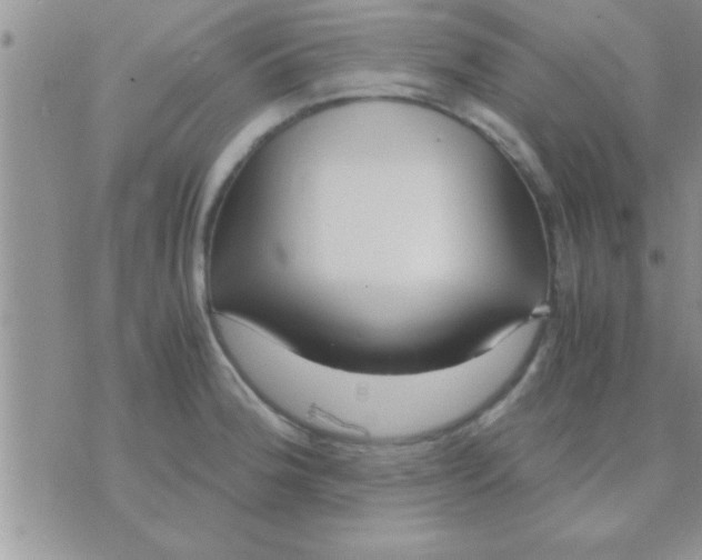 X0000071381188200607142103