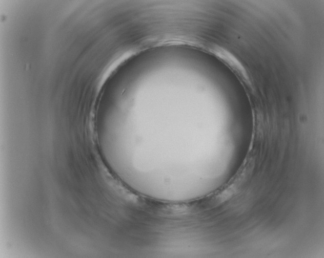 X0000071381190200607142103