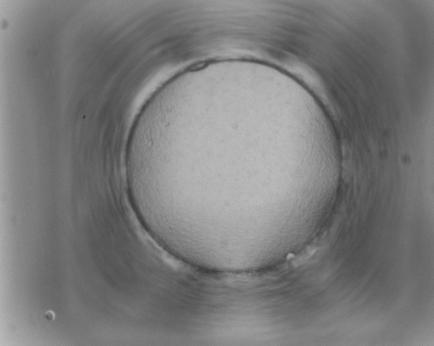 X0000071381191200607142103