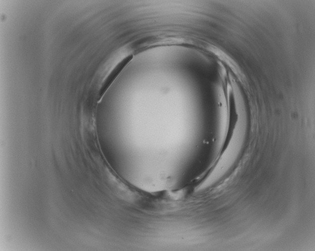 X0000071381193200607142103