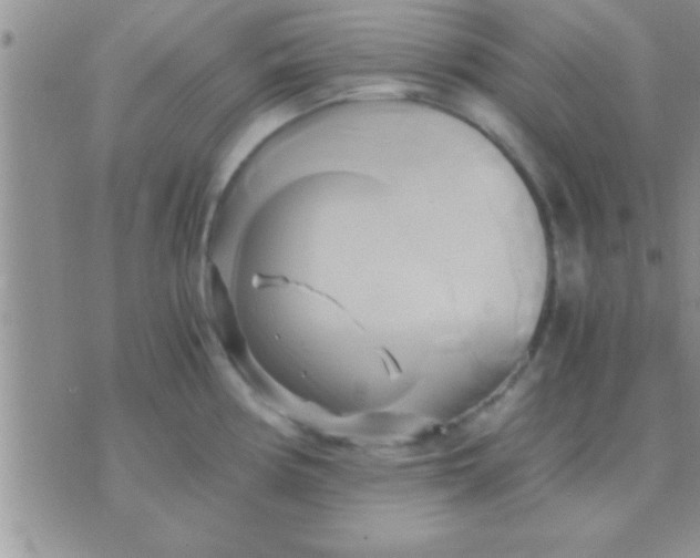 X0000071381194200607142103