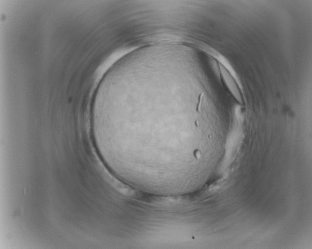 X0000071381195200607142103