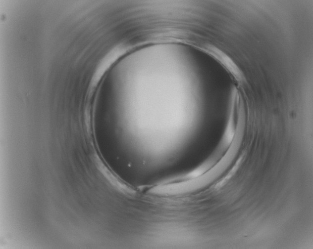 X0000071381196200607142103