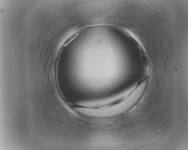 X0000071381197200607142103