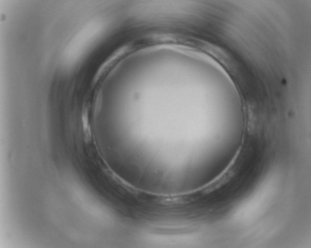 X0000071381198200607142102