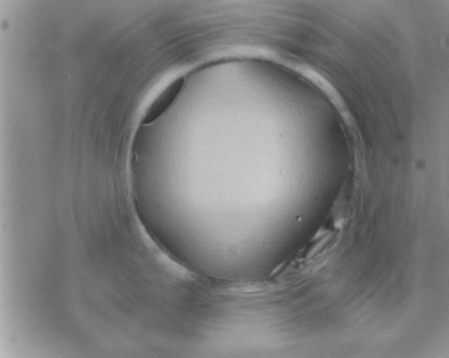 X0000071381199200607142102