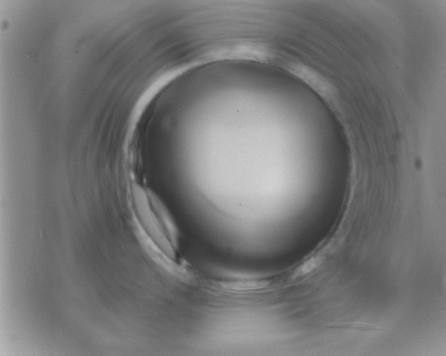 X0000071381200200607142102