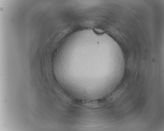 X0000071381201200607142102