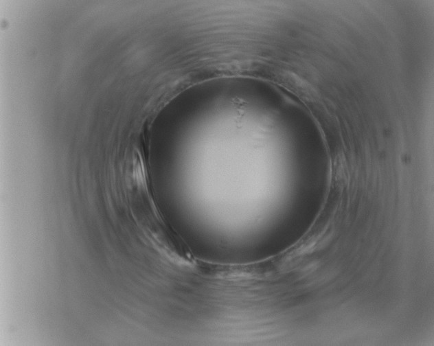 X0000071381202200607142102