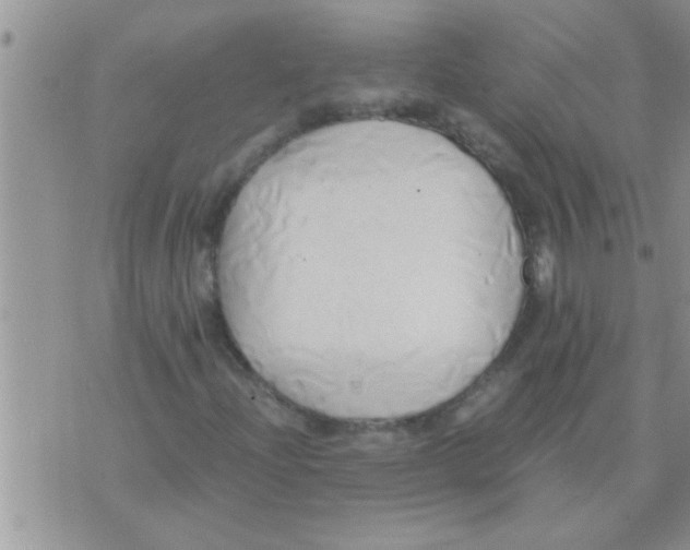 X0000071381204200607142102