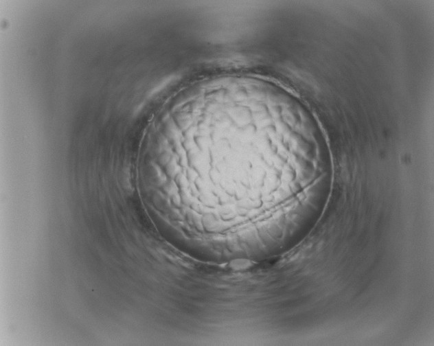 X0000071381205200607142102