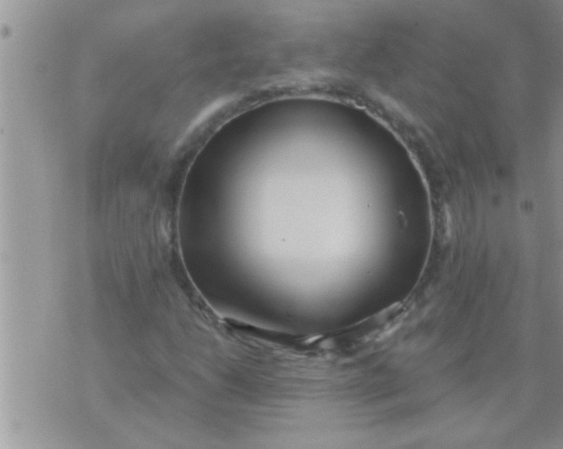 X0000071381206200607142102