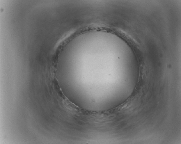 X0000071381207200607142102