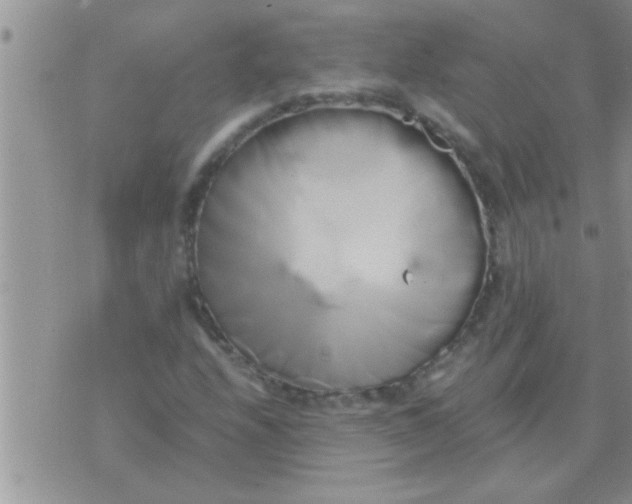 X0000071381208200607142102