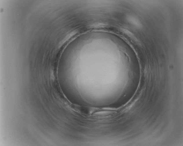 X0000071381209200607142102