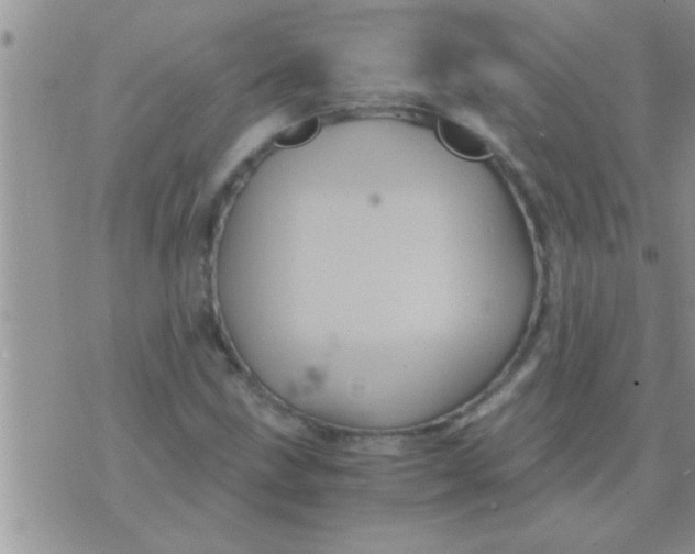 X0000071381211200607142102