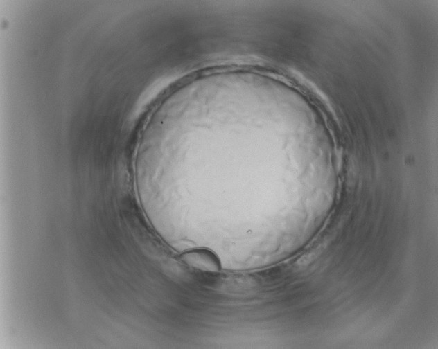 X0000071381215200607142102