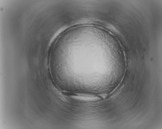 X0000071381216200607142102