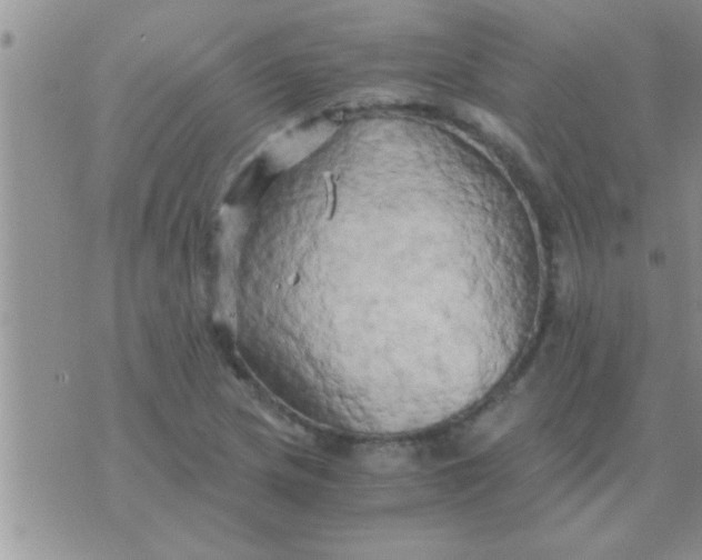 X0000071381217200607142102