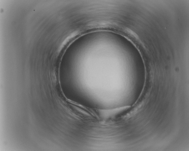 X0000071381218200607142102