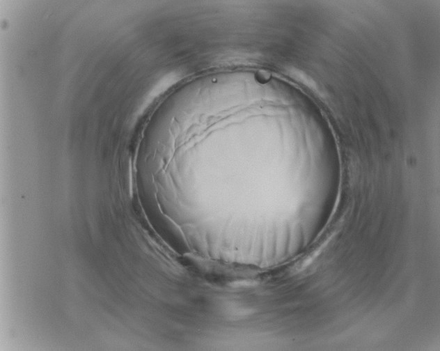 X0000071381219200607142102