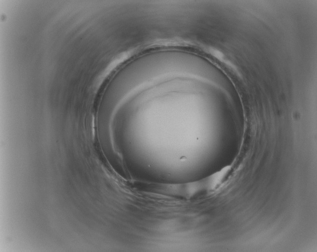 X0000071381221200607142102