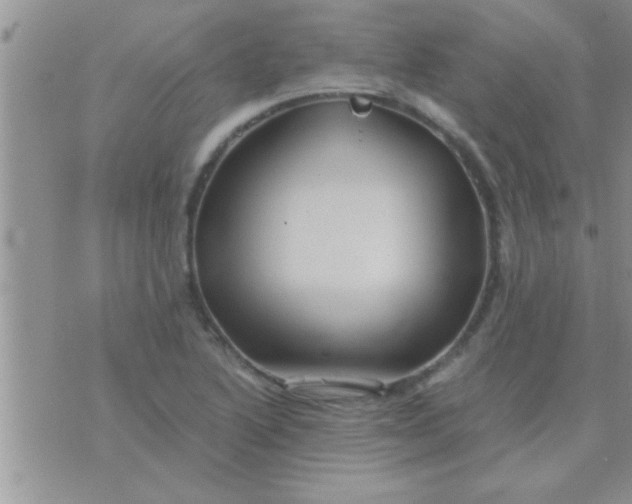 X0000071381222200607142102