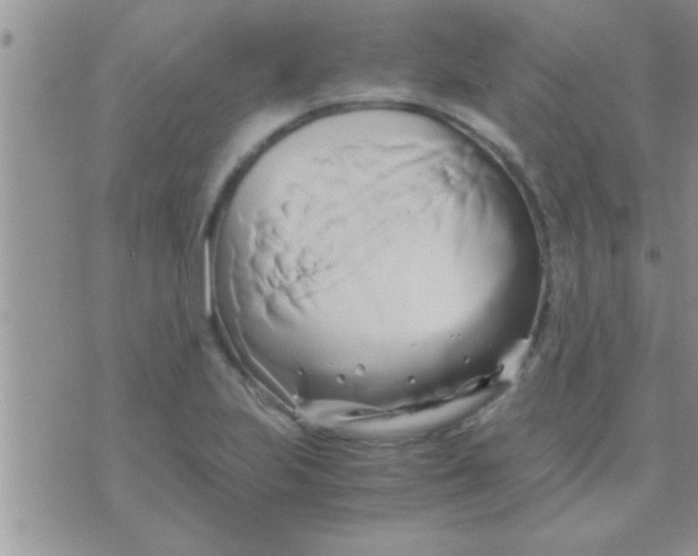 X0000071381223200607142102