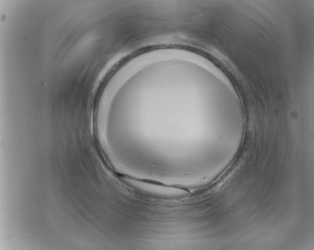 X0000071381224200607142102