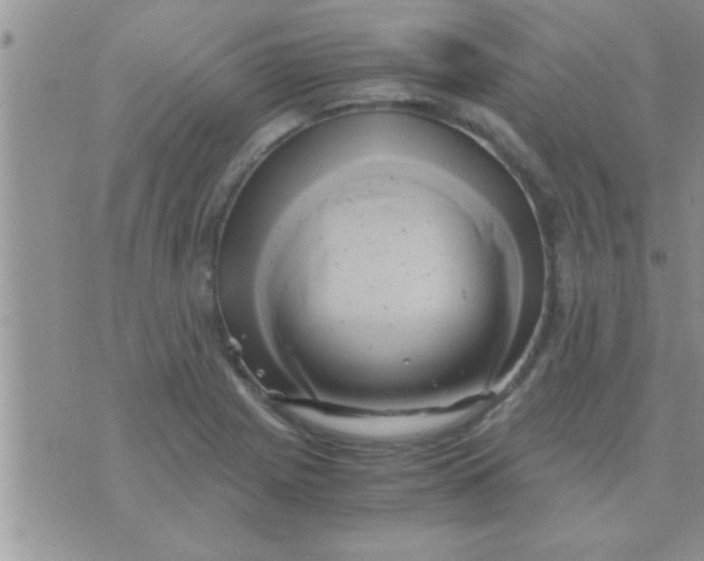 X0000071381225200607142102