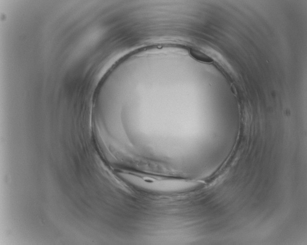 X0000071381228200607142102