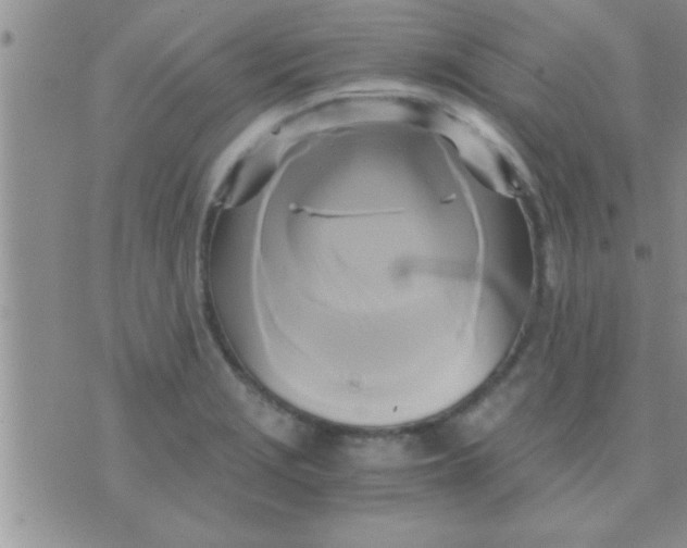 X0000071381229200607142102