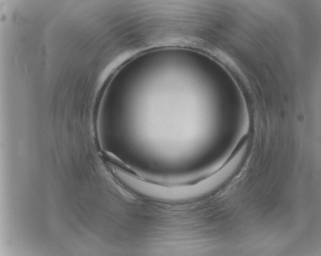 X0000071381230200607142102