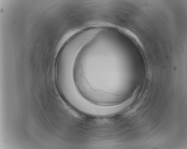 X0000071381231200607142102