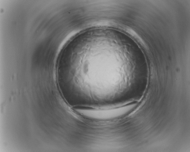 X0000071381232200607142102