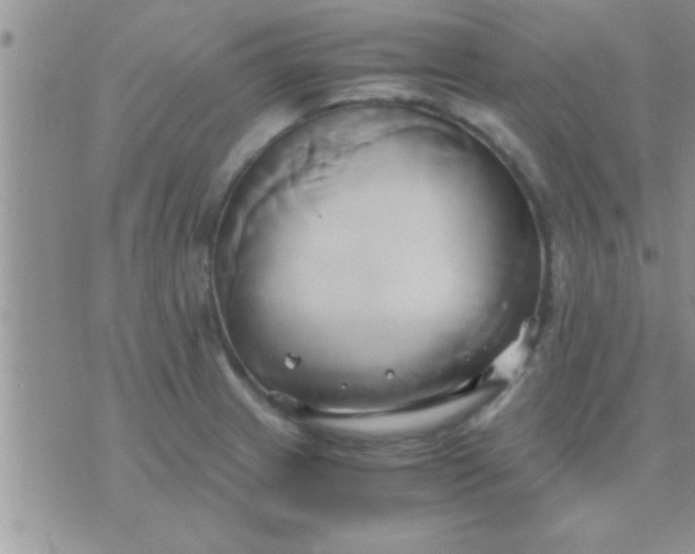 X0000071381233200607142102