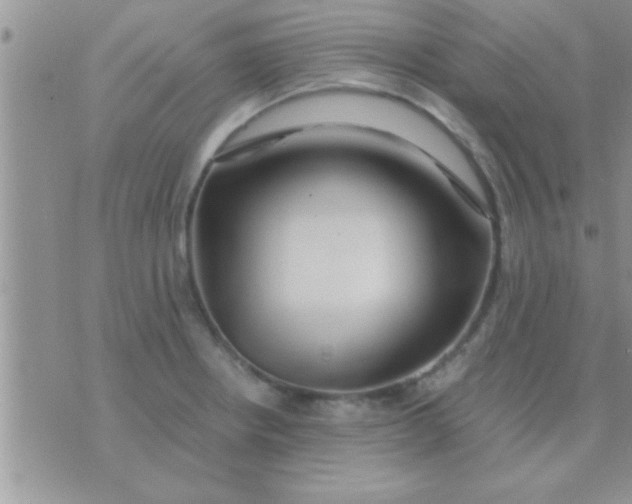 X0000071381234200607142102