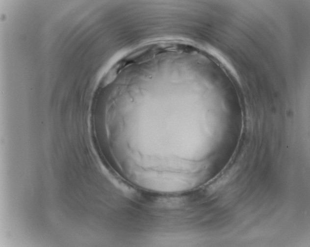 X0000071381237200607142102