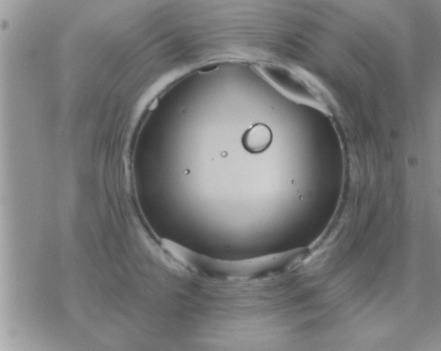 X0000071381238200607142102