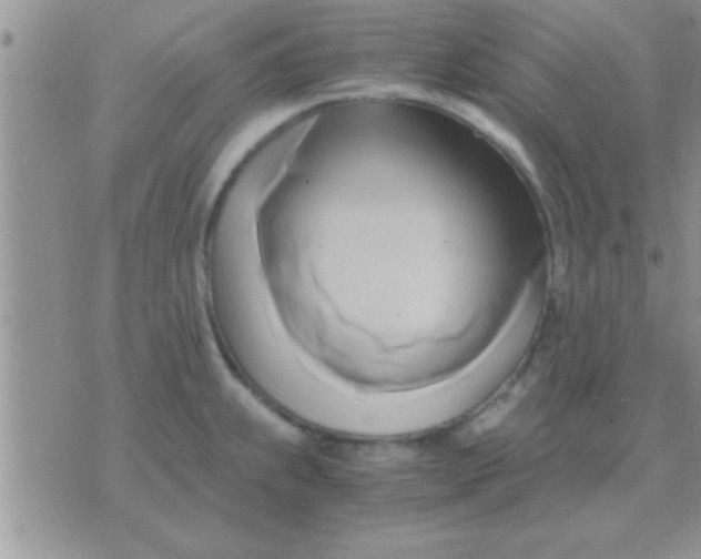 X0000071381239200607142102